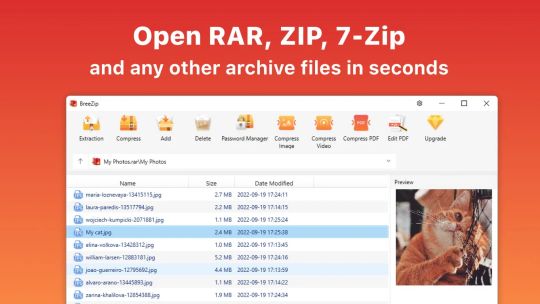 BreeZip: RAR & ZIP screenshot 1