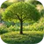 Family Trees Builder Pro