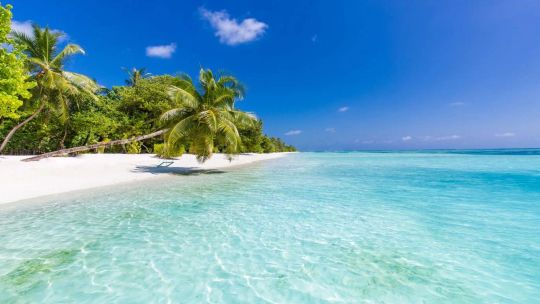 Beach Time screenshot 2
