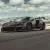 McLaren Senna Track Day