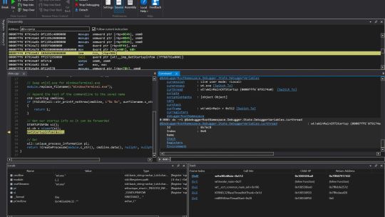 WinDbg screenshot 3