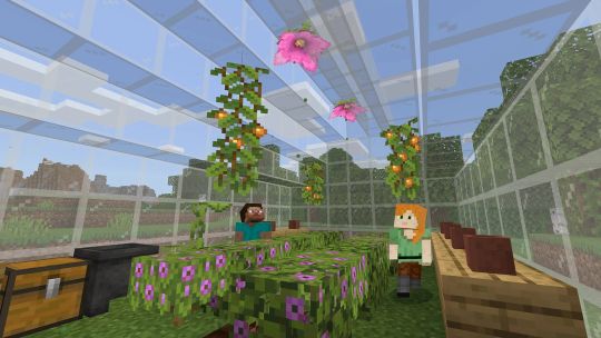 Minecraft Education Preview screenshot 3