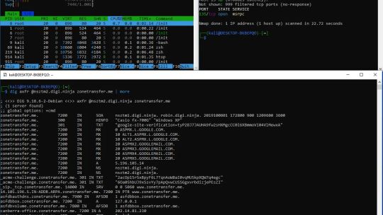 Kali Linux screenshot 3