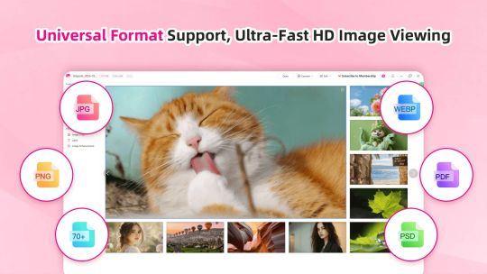 Фотографии. screenshot 1