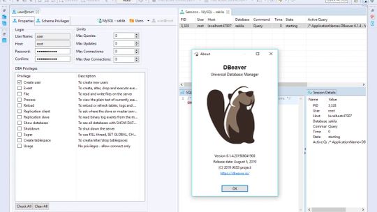 DBeaver CE screenshot 2
