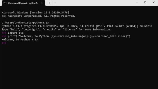 Python 3.13 screenshot 2