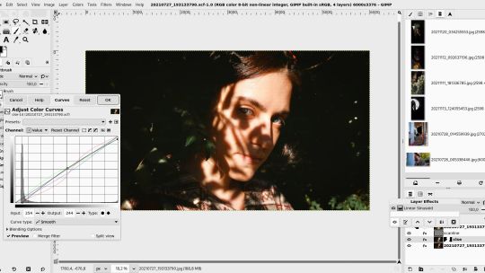 GIMP screenshot 1