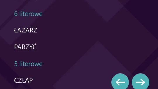 Slowotok screenshot 3