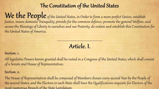 The United States Constitution screenshot 1