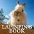 Маленький кролик Lapinpin книга