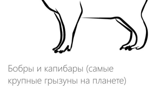 Самые интересные факты screenshot 3