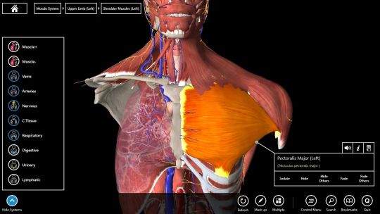 Essential Anatomy 3 for Organizations screenshot 2