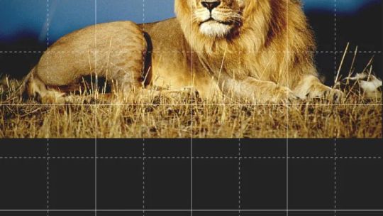 Fhotoroom screenshot 4