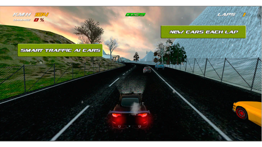 Furious Driving screenshot 2