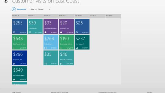 Dynamics AX 2012 Expenses screenshot 3