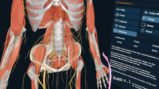 3D Organon XR screenshot 4