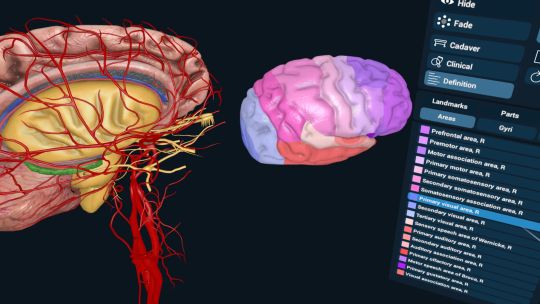 3D Organon XR screenshot 5