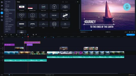 Movavi Video Editor Plus 2020 - Video Editing Software screenshot 2