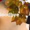 Say Goodbye