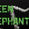 Green Elephant 2D