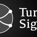 TurnSignal