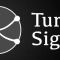 TurnSignal