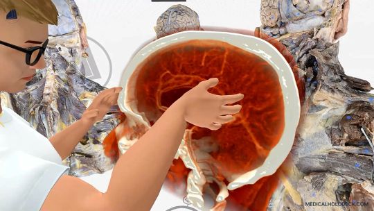 Medicalholodeck Spatial OS: entrenar cirugía, crear gemelos digitales con IA y DICOM y estudiar la anatomía humana screenshot 1