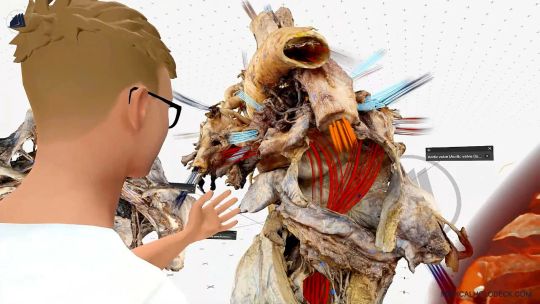 Medicalholodeck Spatial OS: entrenar cirugía, crear gemelos digitales con IA y DICOM y estudiar la anatomía humana screenshot 2