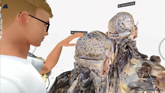 Medicalholodeck Spatial OS: entrenar cirugía, crear gemelos digitales con IA y DICOM y estudiar la anatomía humana screenshot 3