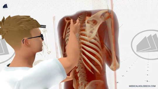 Medicalholodeck Spatial OS: entrenar cirugía, crear gemelos digitales con IA y DICOM y estudiar la anatomía humana screenshot 4