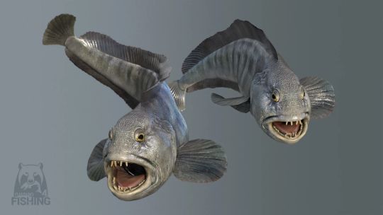 Russian Fishing 4 screenshot 5