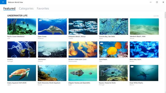 Webcam World View screenshot 5